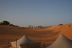 2011.03.06.009.jpg