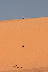2011.03.06.026.jpg