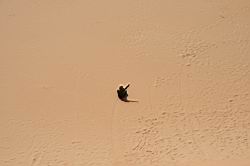 2011.03.06.090.jpg