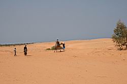 2011.03.06.097.jpg