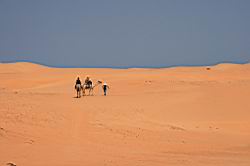 2011.03.06.137.jpg