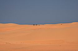 2011.03.06.140.jpg