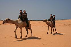 2011.03.06.173.jpg