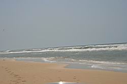 2011.03.06.191.jpg