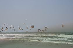 2011.03.06.193.jpg