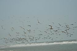 2011.03.06.195.jpg