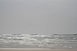 2011.03.06.212.jpg