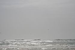 2011.03.06.213.jpg