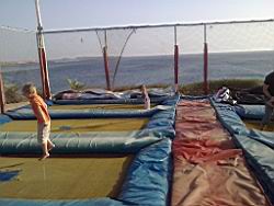 2011.03.07e.jpg