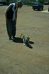 2011.03.08.011.jpg