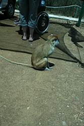 2011.03.08.012.jpg