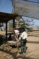 2011.03.08.091.jpg