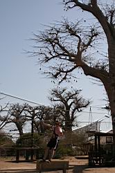 2011.03.08.147.jpg
