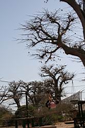 2011.03.08.151.jpg