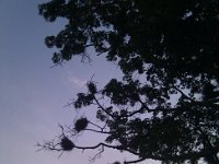 2011.04.11-30.321