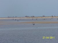 2011.04.11-30.330