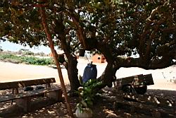 2011.06.08.09.jpg