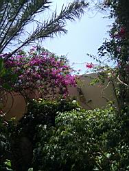 2011.06.12.12.jpg