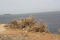 2012.04.07.53.jpg