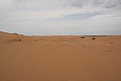 2012.04.08.32.jpg