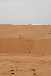 2012.04.08.36.jpg