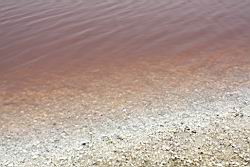 2012.04.09.31.jpg