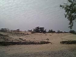 2012.04.09.46a.jpg