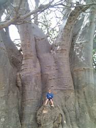 2012.04.11.15a.jpg