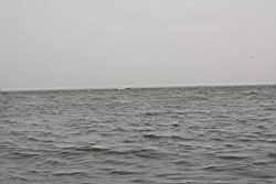 2012.04.12.21.jpg