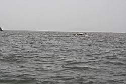 2012.04.12.22.jpg