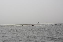 2012.04.12.24.jpg