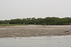 2012.04.12.33.jpg