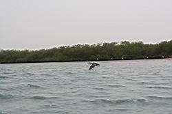 2012.04.12.35.jpg