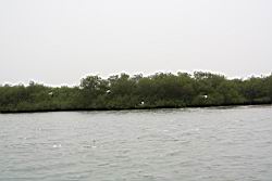 2012.04.12.38.jpg