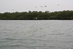 2012.04.12.39.jpg