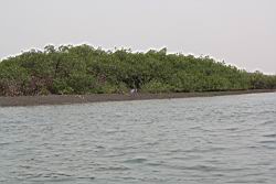 2012.04.12.46.jpg