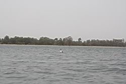 2012.04.12.60.jpg