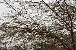 2012.04.13.22.jpg