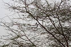2012.04.13.23.jpg