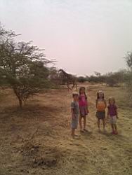 2012.04.13.26a.jpg