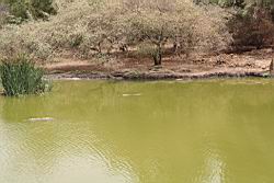 2012.04.13.68.jpg