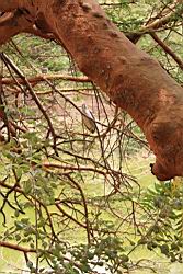 2012.04.13.70.jpg