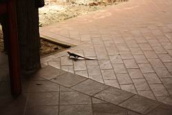 2012.04.13.75.jpg
