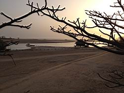 2012.04.21-25.06.jpg