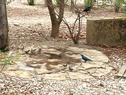 2012.04.21-25.39.jpg