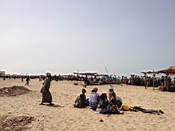 2012.04.21-25.54.jpg