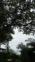 2012.10.21.09.JPG