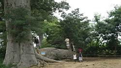 2012.10.21.11.JPG