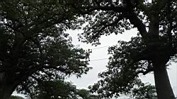 2012.10.21.18.JPG