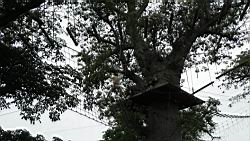2012.10.21.23.JPG